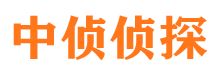 桐城市侦探调查公司